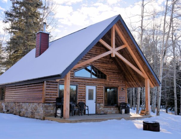 Kodiak-main-1600x1067