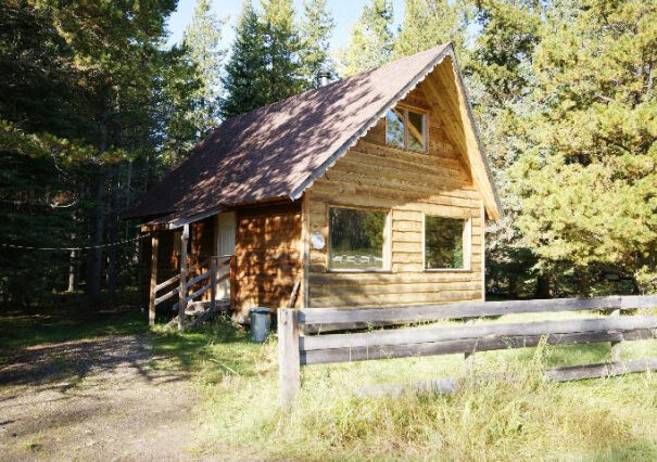 The_Deer_summer-640x426