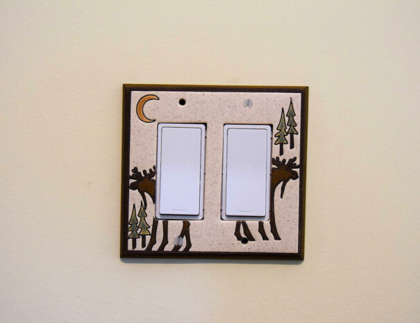 light-switch-detail-1600x1067