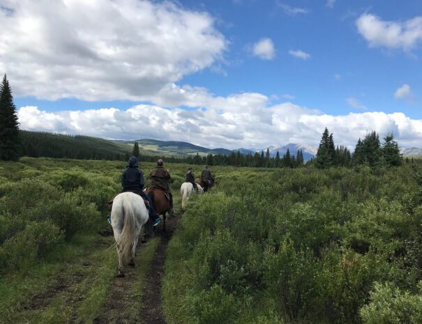 sunset-outfitters-great